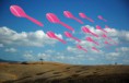 /album/galleria-foto-homepage/landscape-jpg/